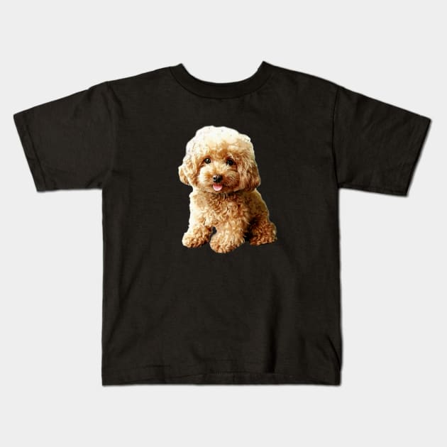 Poodle t cheap
